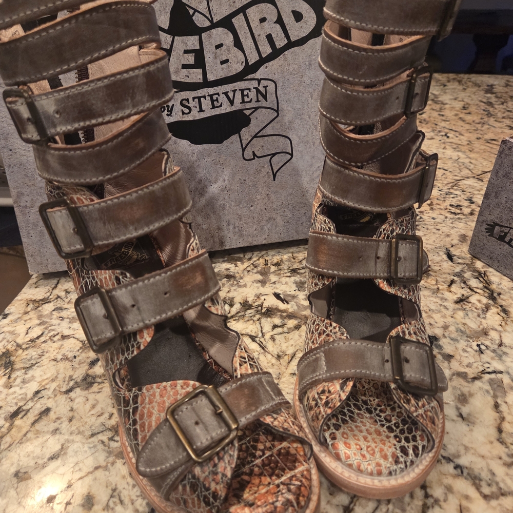 Freebird by Steven Brown and Tan Ankle Boots